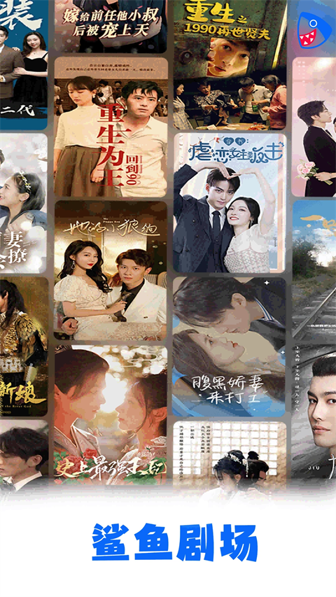 趴在薰衣草田边的茶杯犬萌态壁纸